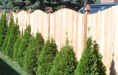 arched wood gate